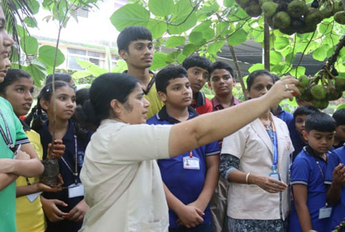 Eco Club